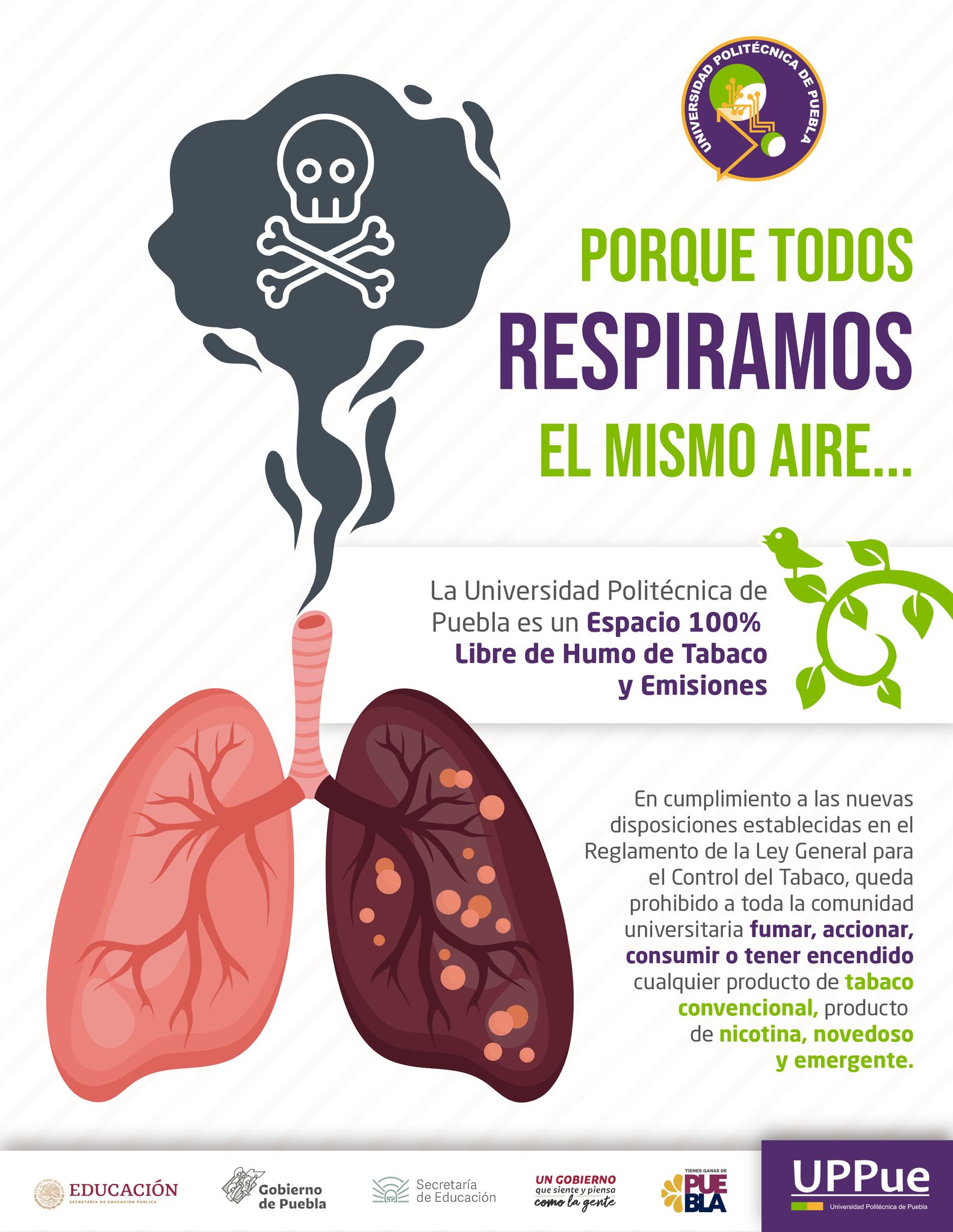 Libres de humo